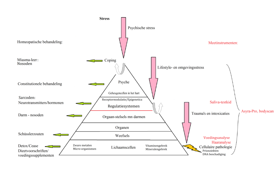 Het Asyra Pro-systeem